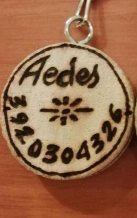 Gruppo Aedes Alghero, Residenza Michelangelo - 500 Mt Dalla * Alghero